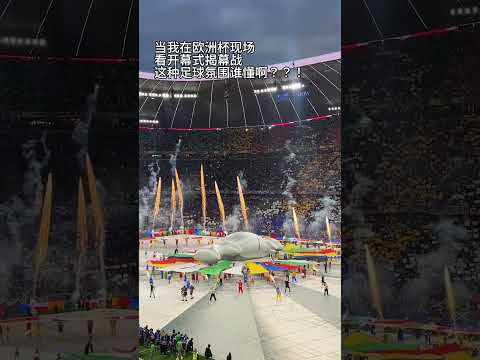 济南国际网,球公开赛今,日盛大启幕,世界杯预测,2026世界杯,赛果分析,球队实力,热门球队