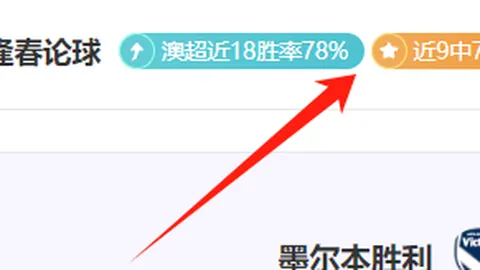 赖因德斯绝杀助AC米兰1-0力克维罗纳